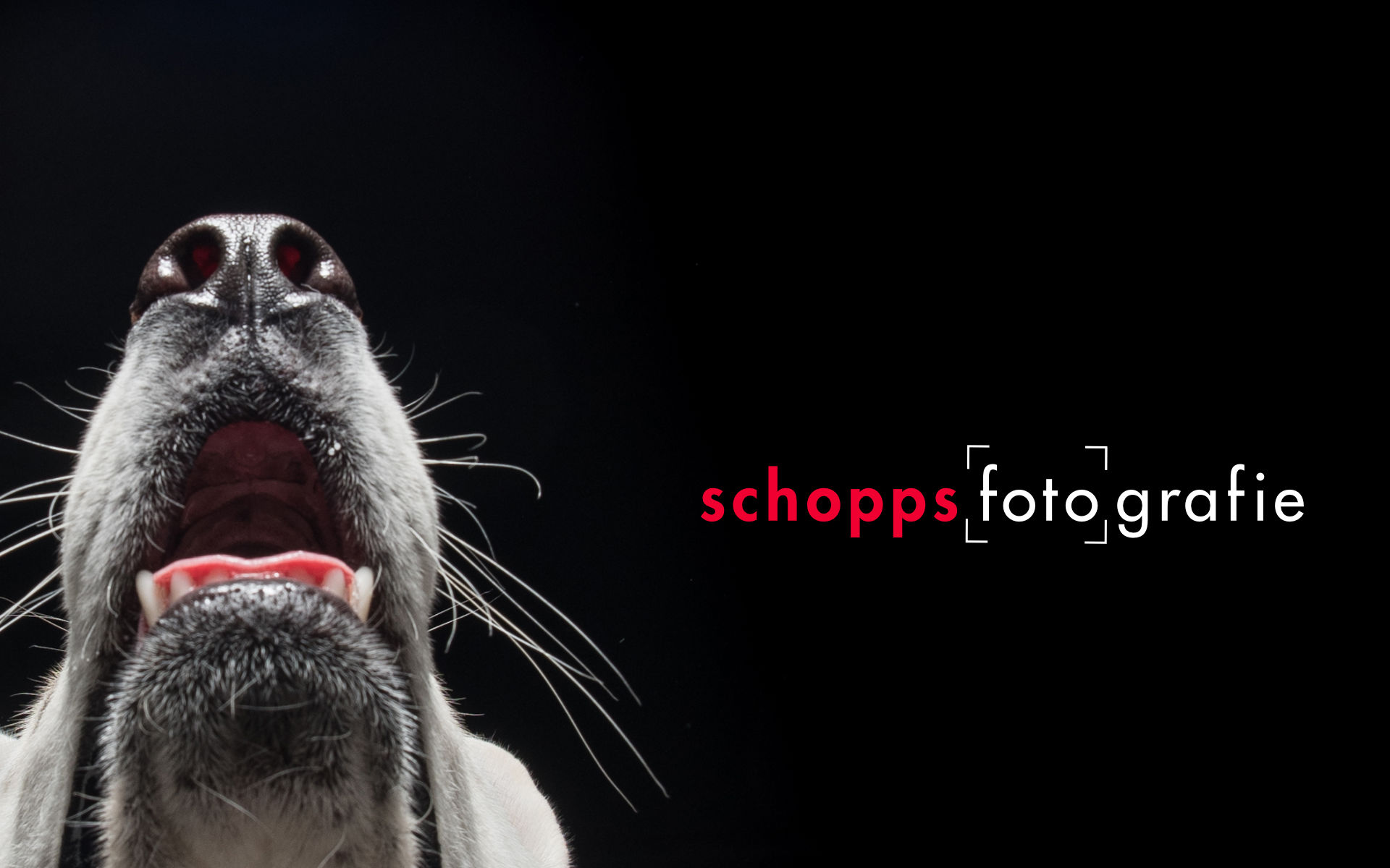 (c) Schopps-fotografie.de
